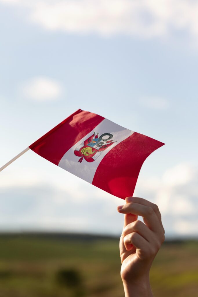 persona sosteniendo la bandera de peru al aire libre